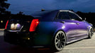 Avery SW900 Gloss Hidden Forrest wrap by Detailed Wraps