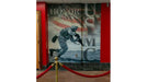 PhotoTex High Tack Fabric Paper printed wall wrap by Inspired Signs & Graphics (inspiredtouchsigns.com)