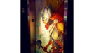 PhotoTex OPAS installed on elevator.  Photo courtesy of PhotoTex.