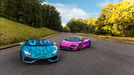 Wrapped in Arlon SLX® Cast Wrap + Arlon IllumiNITE Wrap® and laminated with Arlon Series 3210.