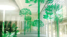 ArlonDPF50WD4MilClearWindowFilm_bb6cc785 47dc 4df0 bd29 25d4673ab487
