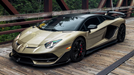 CheetahPCC_Wrap_Mockup_800x450_Kampai
