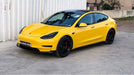 Daffodil_Yellow_Gloss