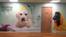 Mactac Roodle printed wall wrap. Photo courtesy of Mactac. 