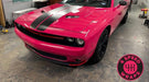 Fuchsia_Gloss