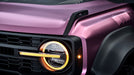 Satin_Frozen_Berry_Metallic