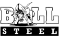 Bull Steel