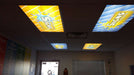 Glass Apeel White Peel and Place Window Film printed graphics installed on fluorescent light covers. Photo courtesy of SML Signs (smlsigns.com)